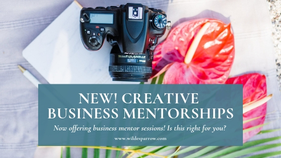 hawaii-creative-business-mentorships-seo-education-photographers.jpg